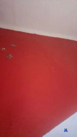 DnR_97 cam4 live cam performer profile