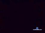 newbisexy cam4 livecam show performer room profile