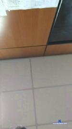 Erikecidoc cam4 livecam show performer room profile