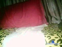 Polarg cam4 live cam performer profile