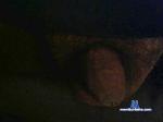 Beto0829 cam4 livecam show performer room profile