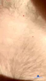 exhib007 cam4 livecam show performer room profile