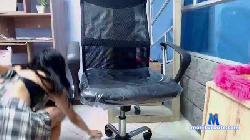 Sarari_Love cam4 live cam performer profile