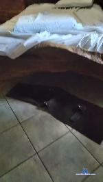 Sisapeca cam4 livecam show performer room profile