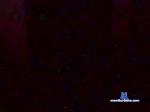 misslisasmi cam4 livecam show performer room profile