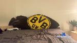 Cumloveboy3 cam4 livecam show performer room profile