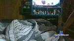 Melulezcanoo cam4 livecam show performer room profile