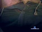 dale_nomas cam4 livecam show performer room profile