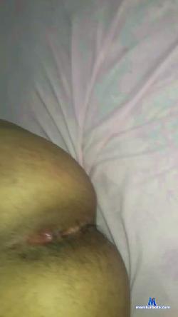 pirocudog cam4 live cam performer profile