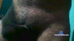 javi231 cam4 livecam show performer room profile