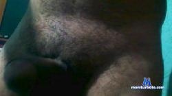 javi231 cam4 live cam performer profile
