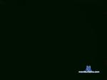 island_guy3 cam4 livecam show performer room profile