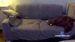 chemfotze cam4 livecam show performer room profile