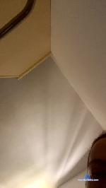 alemo85 cam4 livecam show performer room profile