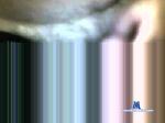 giovanildo cam4 livecam show performer room profile