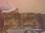 zemaitis2 cam4 livecam show performer room profile