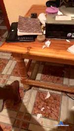 Bouqas cam4 livecam show performer room profile
