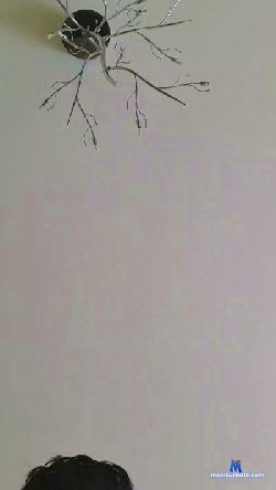 owan3000 cam4 live cam performer profile