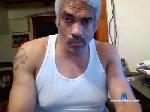 polo307 cam4 livecam show performer room profile