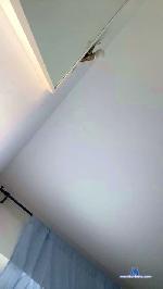 ayoub741 cam4 livecam show performer room profile