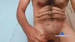 airforce34 cam4 livecam show performer room profile