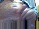 brondi24 cam4 livecam show performer room profile