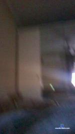 Popeyeelmarino cam4 livecam show performer room profile