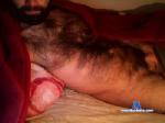 teamo555 cam4 livecam show performer room profile