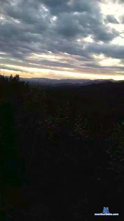 Miguellagoria cam4 live cam performer profile