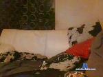 whoreslut28 cam4 livecam show performer room profile