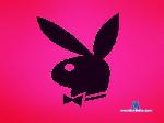 Ruby_Rosy cam4 livecam show performer room profile