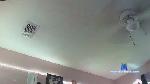 dankskank3 cam4 livecam show performer room profile