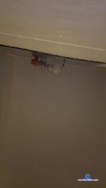 Toroduro22 cam4 livecam show performer room profile