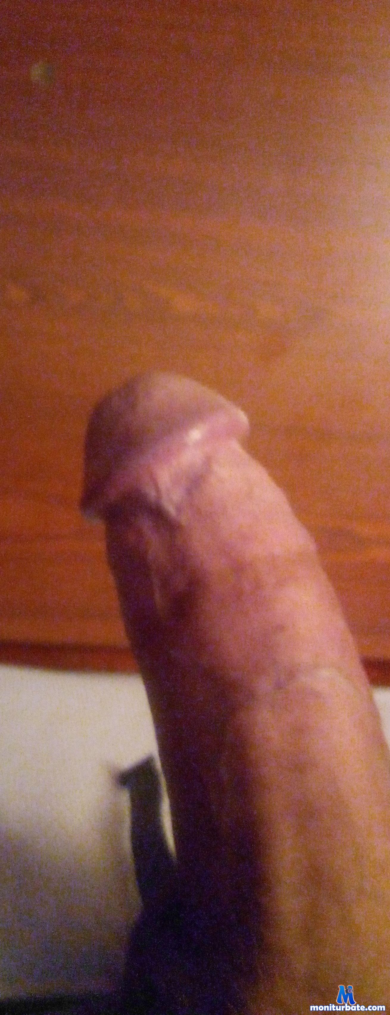 Slyry1982 cam4 bicurious performer from United States of America  