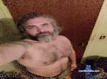 hippiejaybird cam4 livecam show performer room profile
