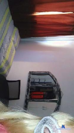 ChienneGalli cam4 live cam performer profile