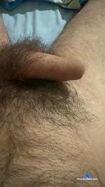 andres5643 cam4 livecam show performer room profile