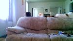 vis46805 cam4 livecam show performer room profile
