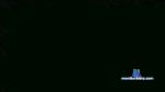 moreno8558 cam4 livecam show performer room profile