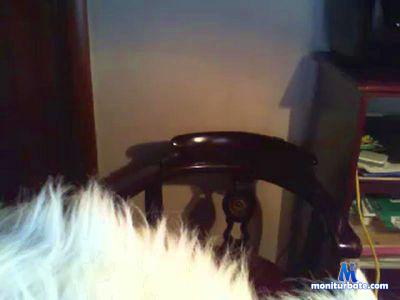 tino_sp cam4 straight performer from Federative Republic of Brazil  