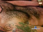 Peludosafadao cam4 livecam show performer room profile