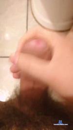 elberguita cam4 livecam show performer room profile
