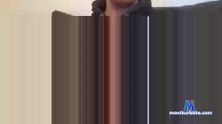 elhombre56 cam4 live cam performer profile