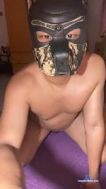 mforgla1230 cam4 livecam show performer room profile