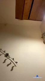 Ric411 cam4 livecam show performer room profile