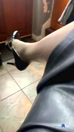 Shiney_James cam4 live cam performer profile