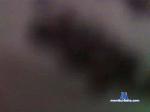 abcelias cam4 livecam show performer room profile