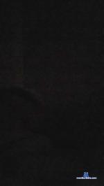 javier1981 cam4 livecam show performer room profile