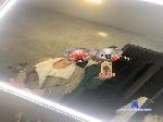 Parejaveintidos cam4 livecam show performer room profile