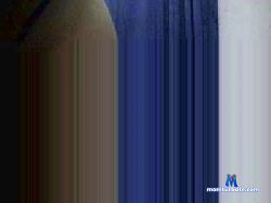 dane_london cam4 live cam performer profile